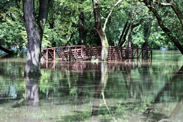 Rotary park flooded