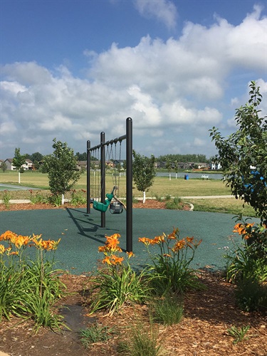 Swings at Galway Park