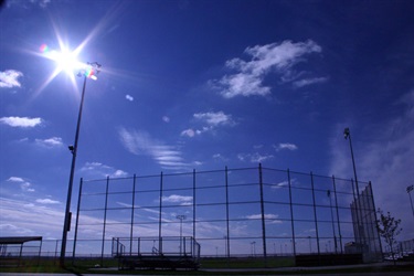 Harmodon Park Fences