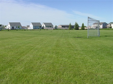 Lacey Park Baseball Field