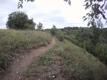 Leaders Park Singletrack