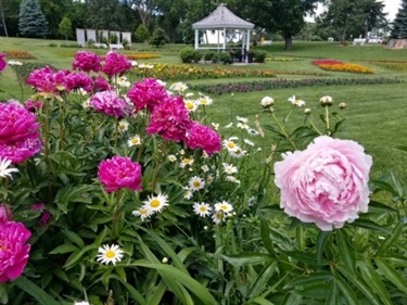Tuthill Formal Gardens Flowers 2