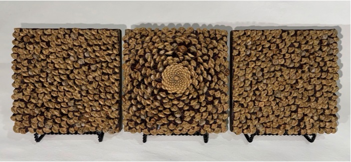 disassembled pinecone piece arranged in a design in three squares