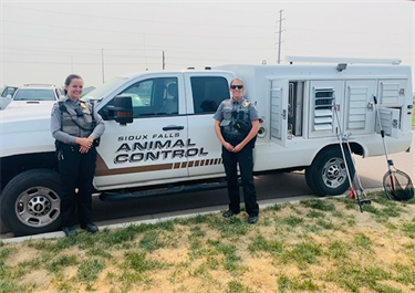 Animal control officers next to car