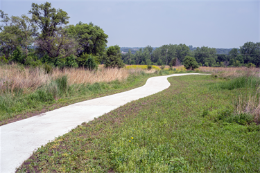 Arrowhead Park Trail