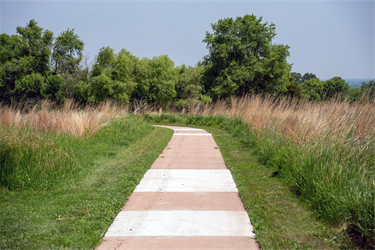 Arrowhead Park Trail
