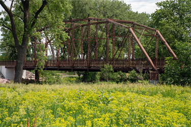 Farm Field Park Bridge