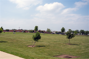 Fred Dawley Park Field