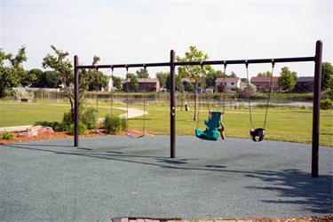 Galway Park Swing Set