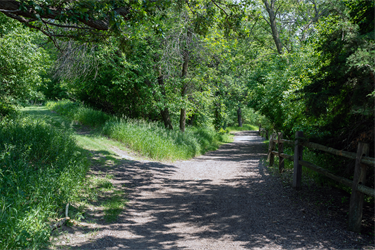 Great Bear Recreation Park Trail