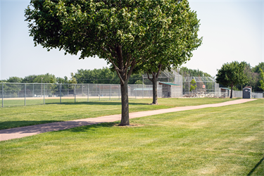 Kenny-Anderson-Ballfield-2.png