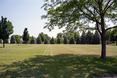 Lacey Field