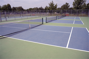 Laurel-Oak-Pickleball-Court.png