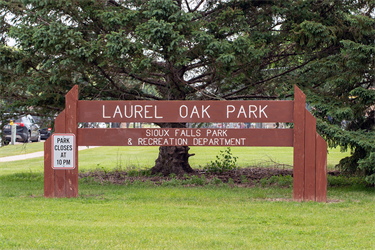 Laurel-Oak.png