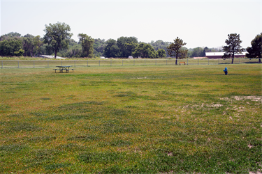 Lien-Dog-Park.png