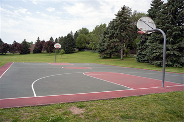 Lions-Centennial-Basketball-Court.png