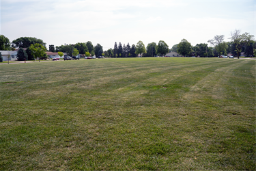 Marion-Field.png