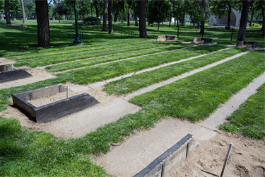 McKennan-Horseshoes-2.png