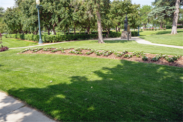 McKennan-Trail-2.png