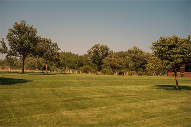 Oakview-Field.png