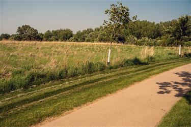 Oakview-Trail-3.png