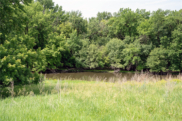 Oxbow-Lake.png