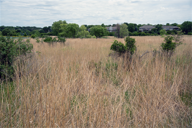 Pasley-Helen-Pasley-Nature-Area-3.png