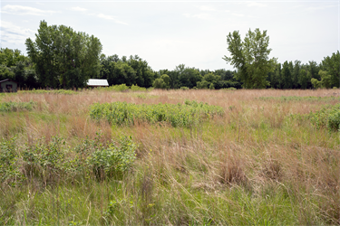 Sertoma-Outdoor-Campus-3.png