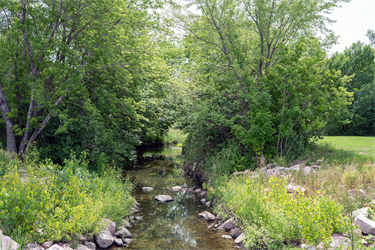 Sertoma-Stream.png