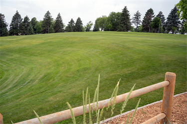 Spellerberg-Field-2.png