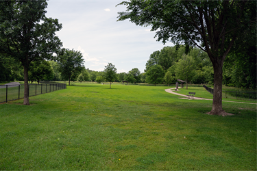 Spencer-Dog-Park-3.png