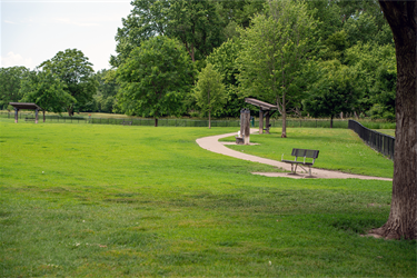 Spencer-Dog-Park-4.png