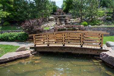 Terrace-Japanese-Gardens-Trail-2.png