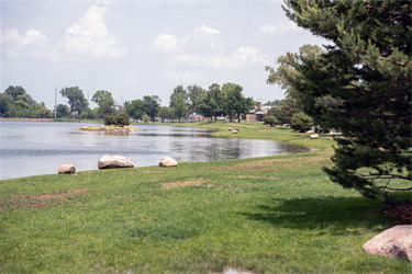 Terrace-Japanese-Gardens-Trail-6.png