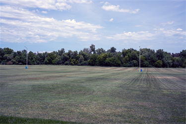 Tomar-Field.png
