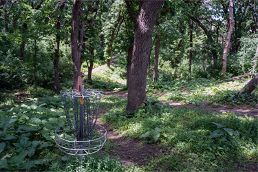 Tuthill-Disc-Golf-2.png