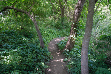 Tuthill-Single-Track-2.png