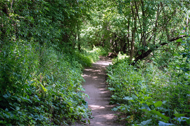 Tuthill-Single-Track-3.png