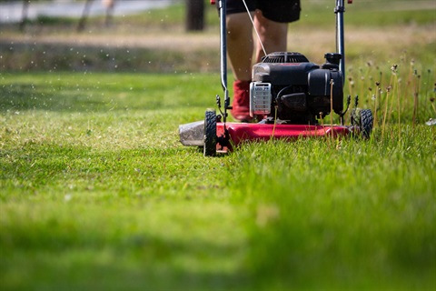 A lawnmower cutting grass