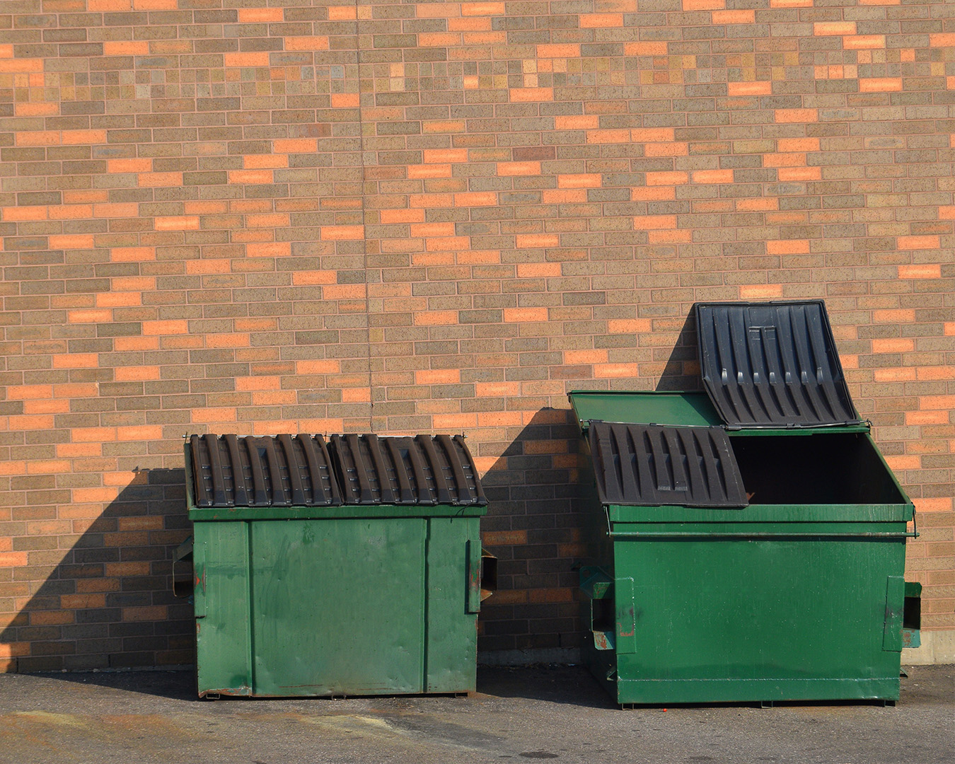 an example image of larger trash dumsters