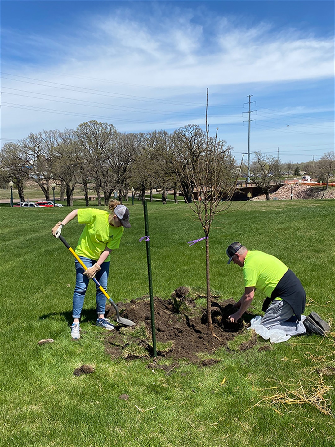 Trees City of Sioux Falls