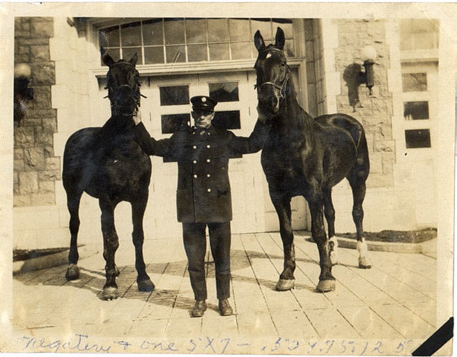 Fire fighter standing in the middle of two horses