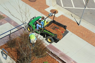 parks employees cleaning up landscaping