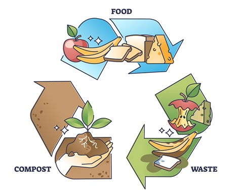 Food composting cycle