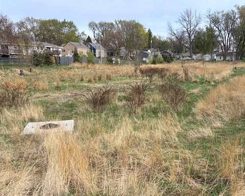 Wide view of a grassy area next to a row of houses.